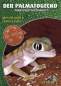 Preview: Der Palmatogecko
